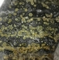 Preview: Ocean Jaspis orbicular